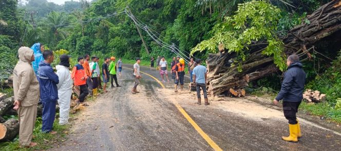 
 Kasat Lantas Polres Lahat Dr Jhoni Albert Turun Ke Lokasi, Arahkan Pesonil Turun Kelapangan Evakuasi Pohon Tumbang Jalan Lintas Lahat Pagar Alam